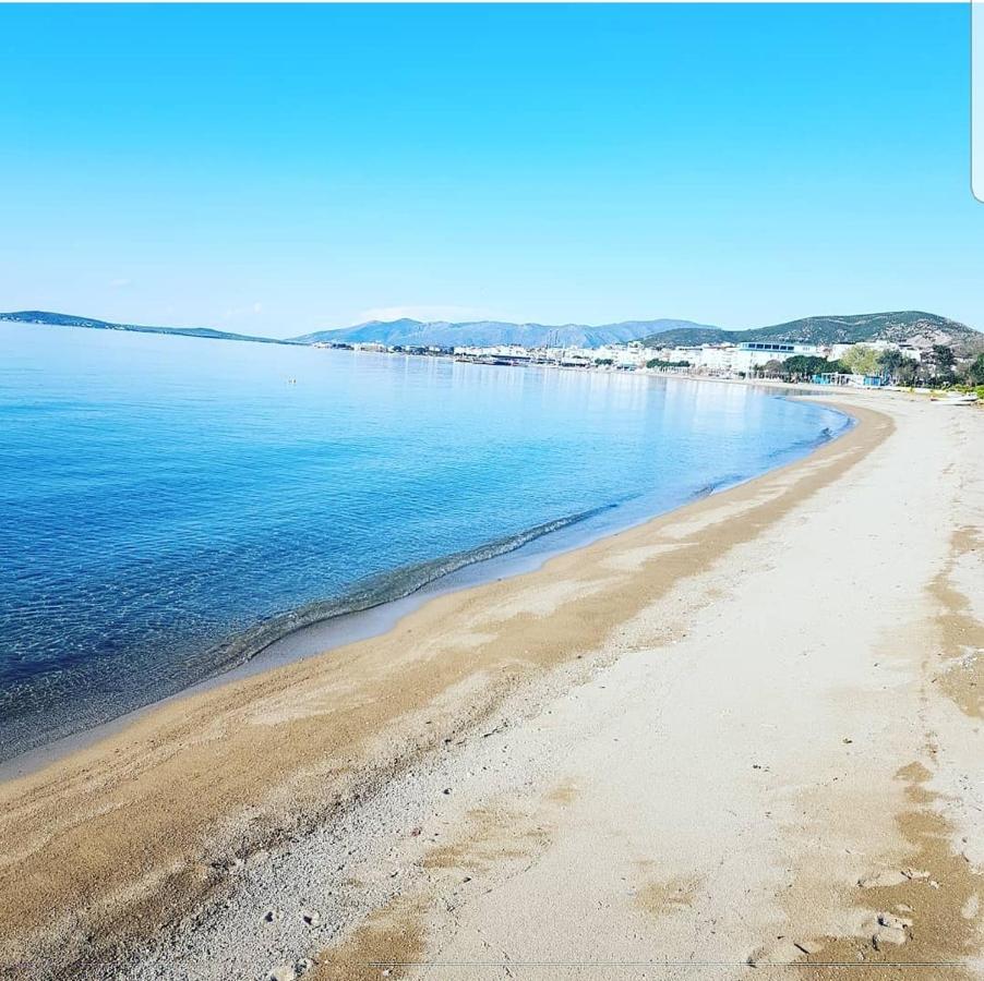Avsa Motel 마르마라섬 외부 사진